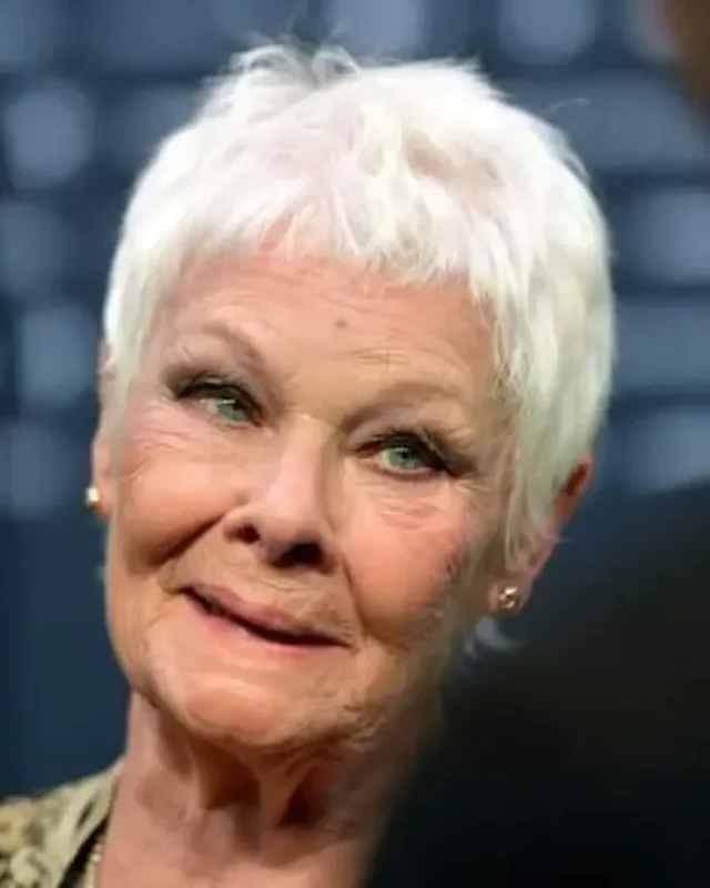 1732046969 321 Judi Dench Measurements Bio Heightweight Shoe And Bra Size.webp