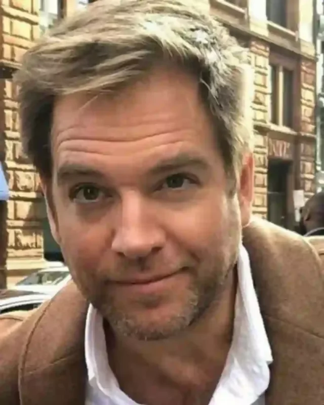 1732917127 831 Michael Weatherly Measurements bio height weight shoe size.webp