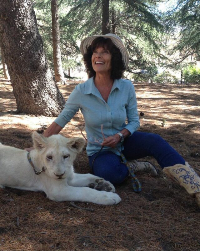 Adrienne Barbeau Measurements Bio Height Weight Shoe And Bra Size