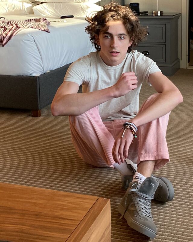 Timothee Chalamet measurements bio height weight and shoe size